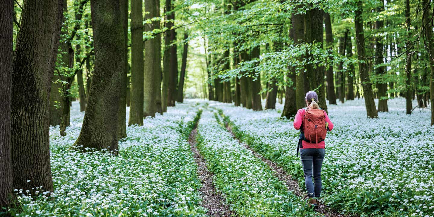 Frau mit roter Jacke geht durch einen frühlingshaften Wald