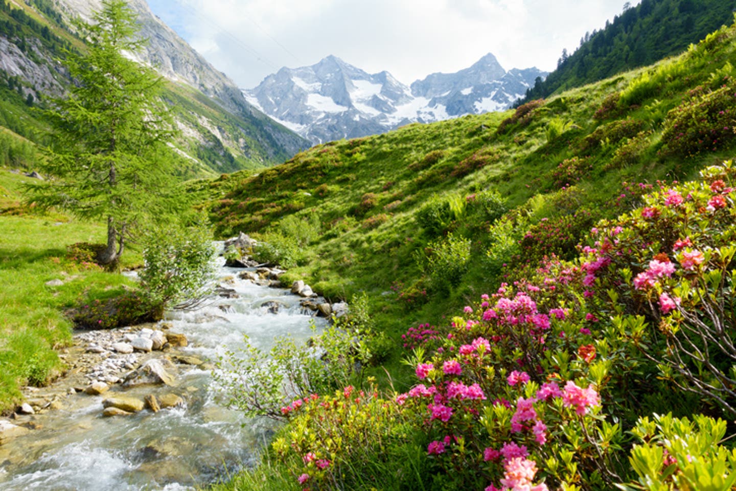 Hotels in Österreich buchen