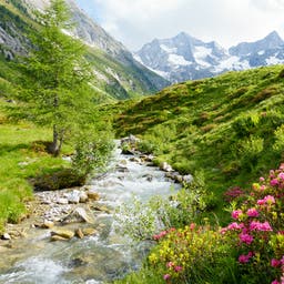 Hotels in Österreich