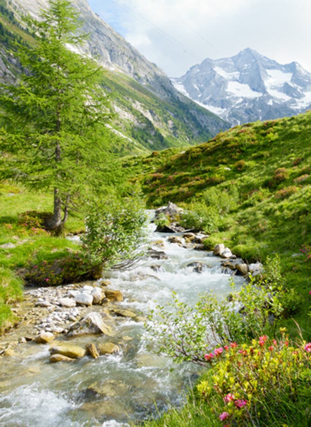 Hotel in Österreich buchen Gebirgsfluss in den Tiroler Alpen