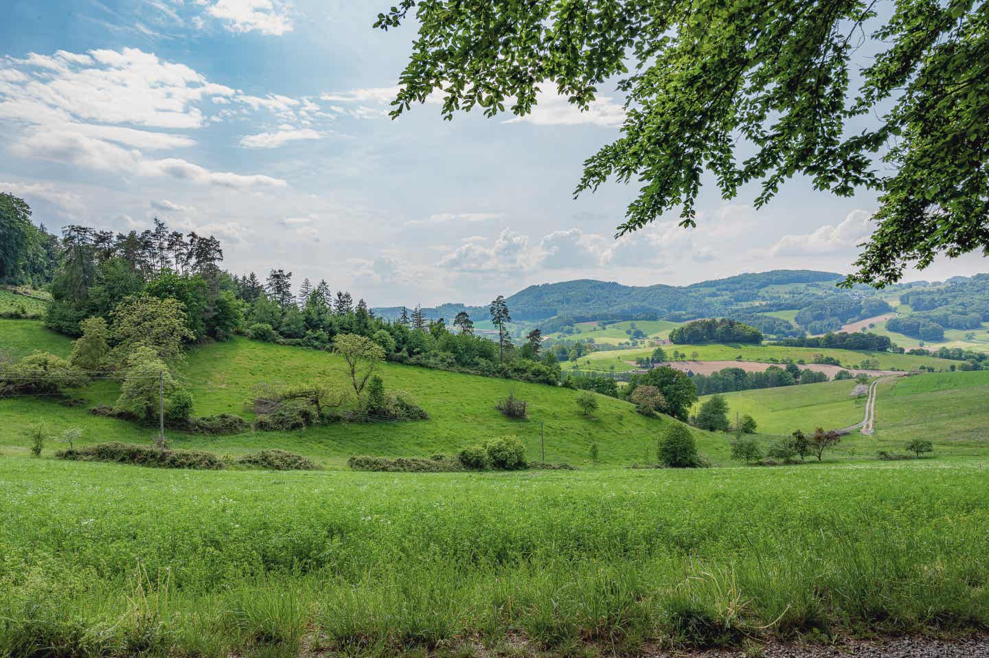 Blick auf den hessischen Odenwald