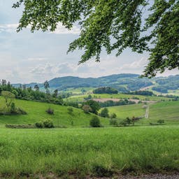Hotels im Odenwald