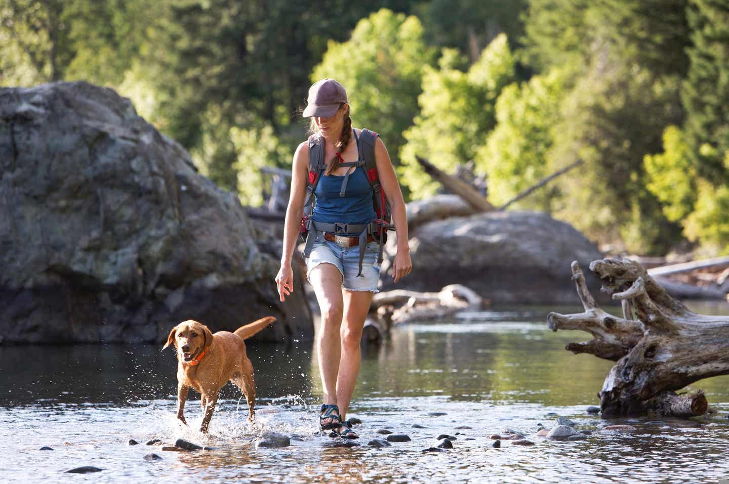 Wandern mit Hund - Unterwegs in der Natur