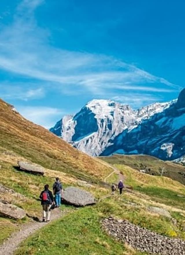 Jetzt entdecken Via Alpina