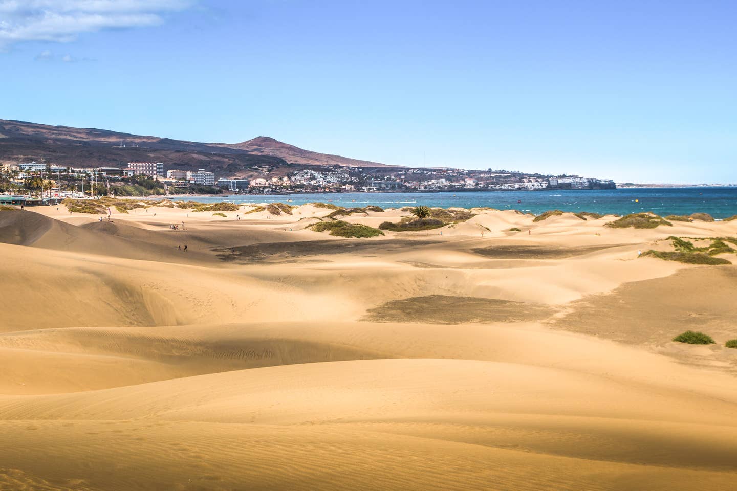 Gran Canaria: Last Minute Dünenlandschaft von Maspalomas erkunden Gran Canaria: Last Minute Dünenlandschaft von Maspalomas erkunden