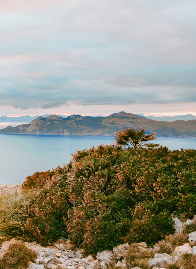 Wanderwege auf Mallorca Junger Wanderer schaut morgens mit Fernglas vor der Nordküste Mallorcas in die Ferne - Bitte Al