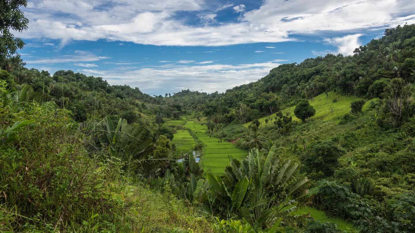 Mitarbeiter-Tipp Madagaskar erleben. Landschaftsaufnahme
