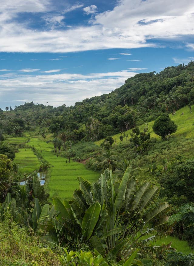 Mitarbeiter-Tipp – Madagaskar erleben