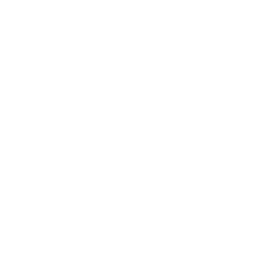 promotional badge