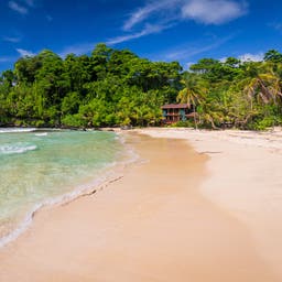 panama-basimentos-red-frog-beach-klein-g-1038888104.jpg