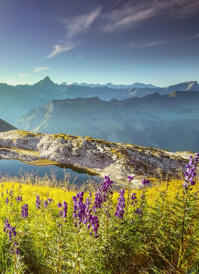 Allgäu Urlaub Allgäu Urlaub mit DERTOUR. Die wunderschöne Landschaft macht einen Allgäu Urlaub unvergesslich