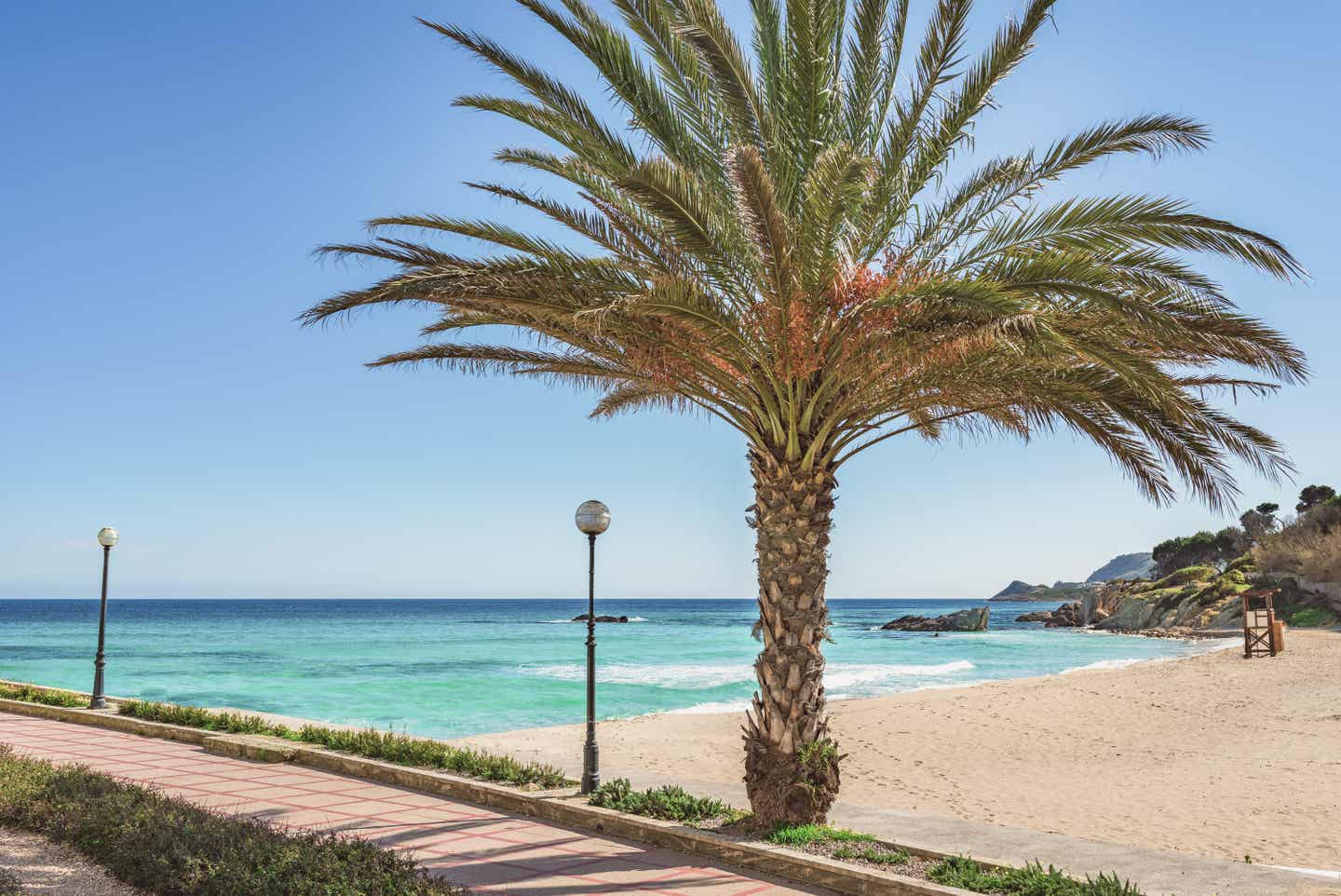 Steg mit einer Palme und Laternen vor einer Bucht mit türkisblauem Wasser