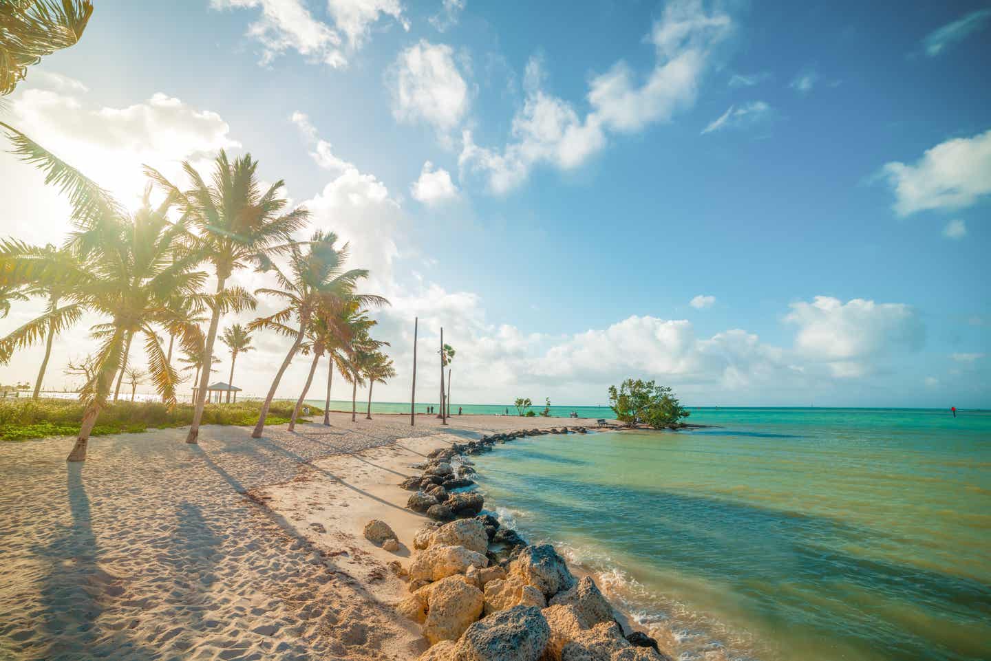 Sombrero-Strand in Florida: Palmen beim Sonnenaufgang