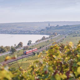 Hotels in der Pfalz