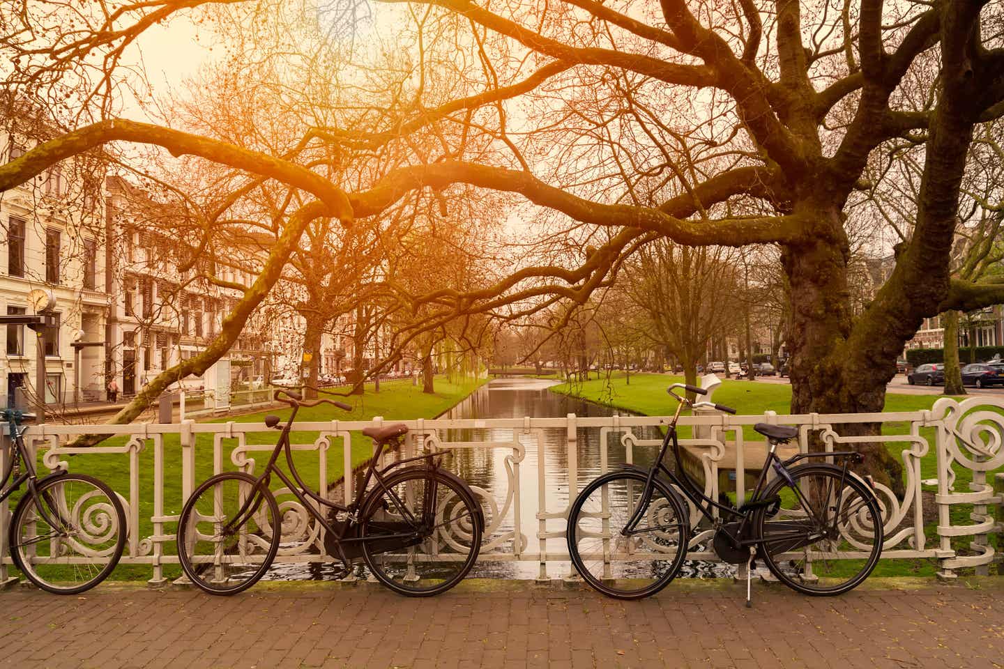 Urlaub in Rotterdam – Fahrräder in Rotterdam