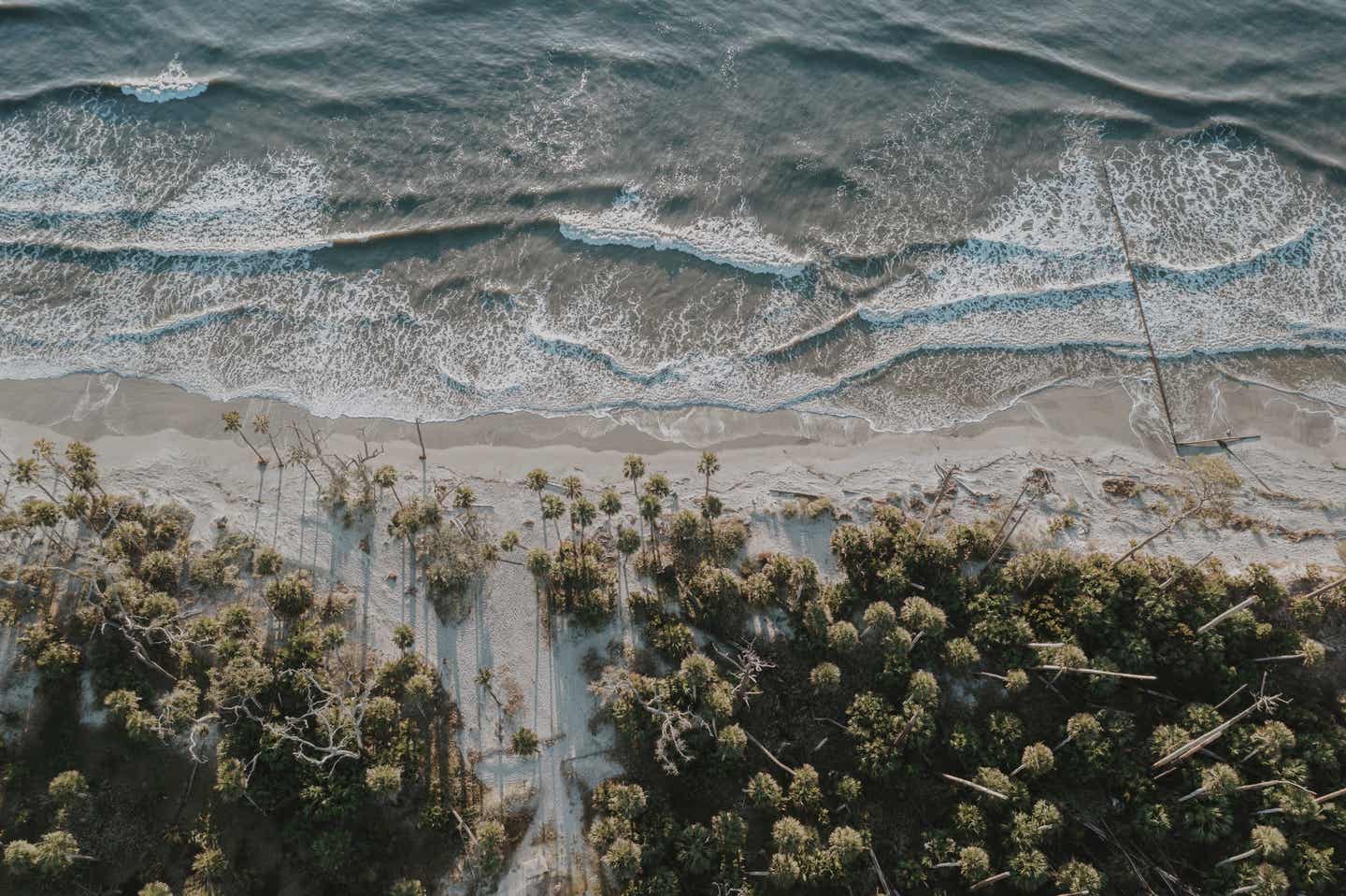 South Carolina Urlaub mit DERTOUR. Luftaufnahme des Hunting Island Beach, South Carolina