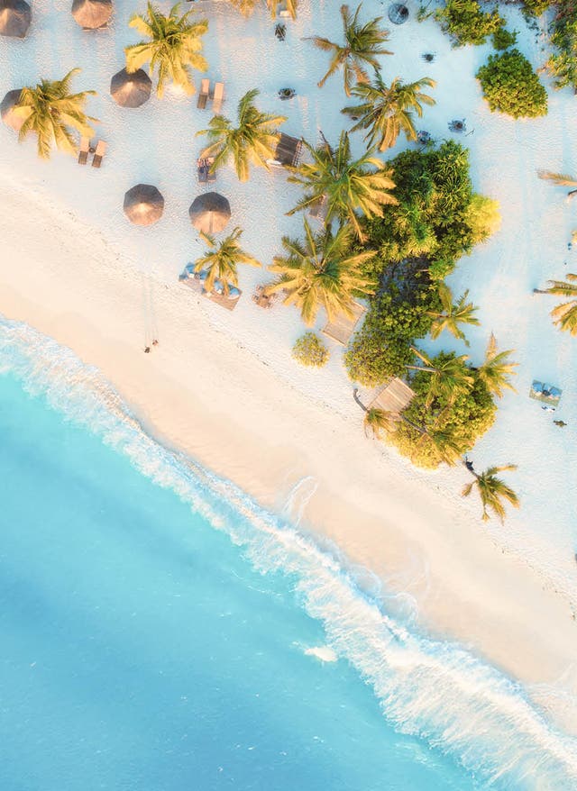 Jetzt entdecken Winterurlaub: Strand mit Palmen aus der Vogelperspektive
