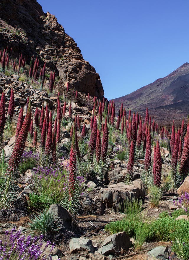 DERTOUR-Wanderroutenplaner Reisekalender Mai: Wanderroutenplaner
