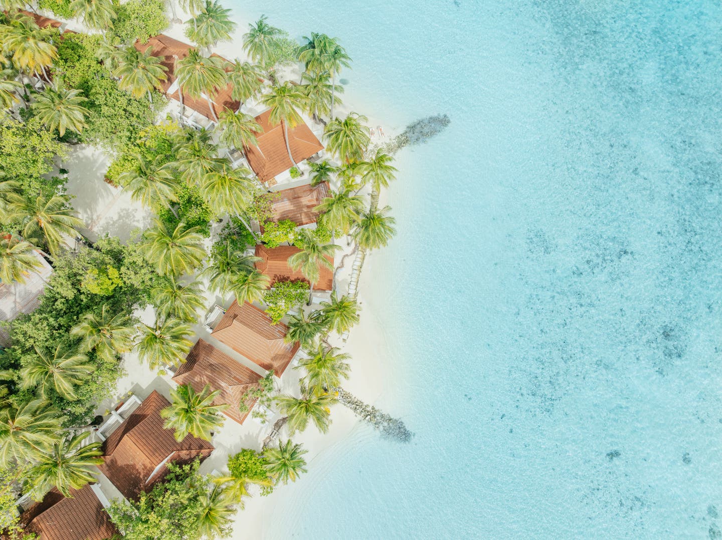 Luftbild der Strandvillen des Hotels unter Palmen
