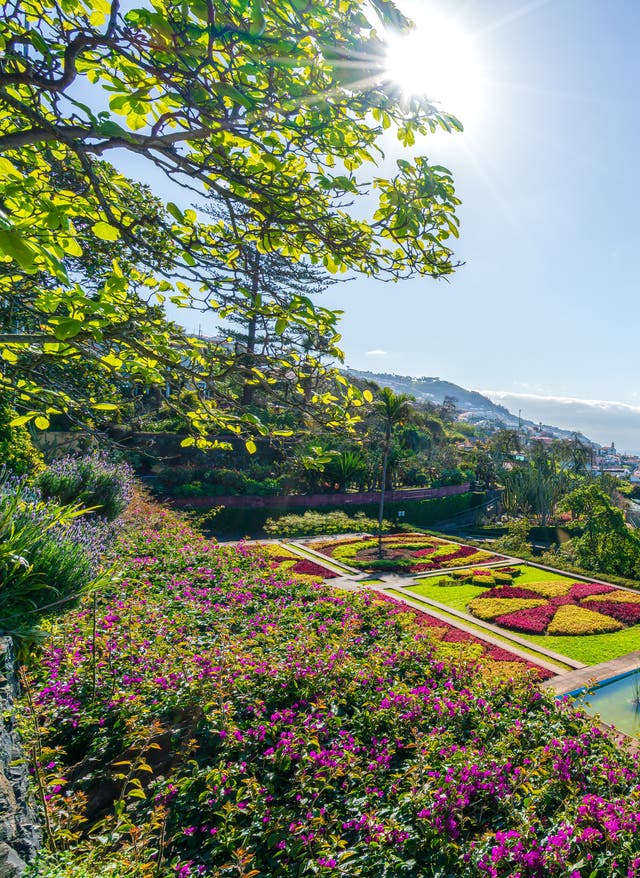 Botanischer Garten Funchal