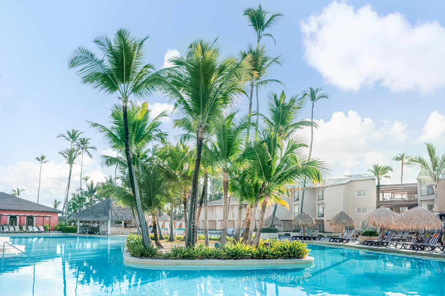 Palmeninsel in der Poollandschaft