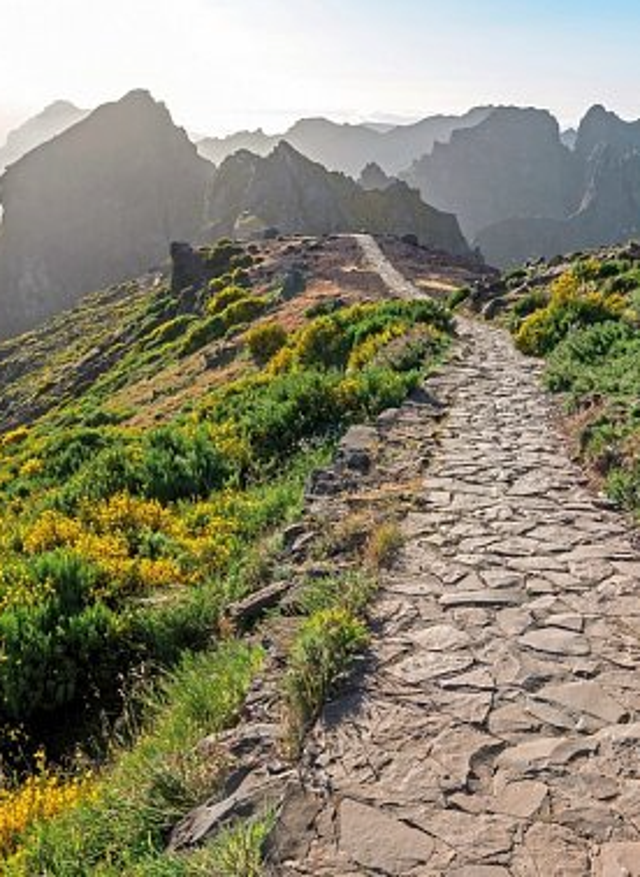 Zu den Angebotsdetails Wanderweg auf Madeira