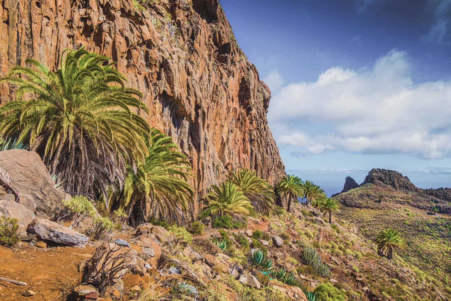 Die Landschaft auf El Hierro