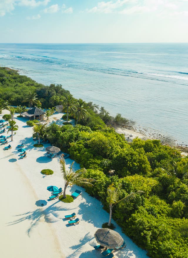 Beste Reisezeit Beste Reisezeit: Strand auf den Malediven von oben