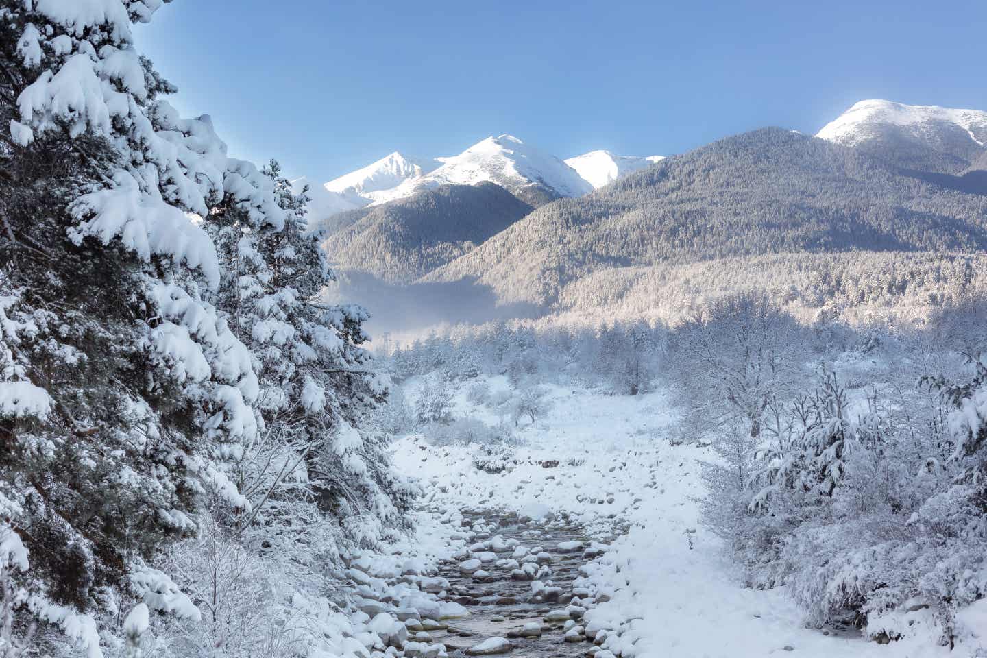 Bulgarien Urlaub mit DERTOUR. Panoramabild des verschneiten Pirin-Gebirges