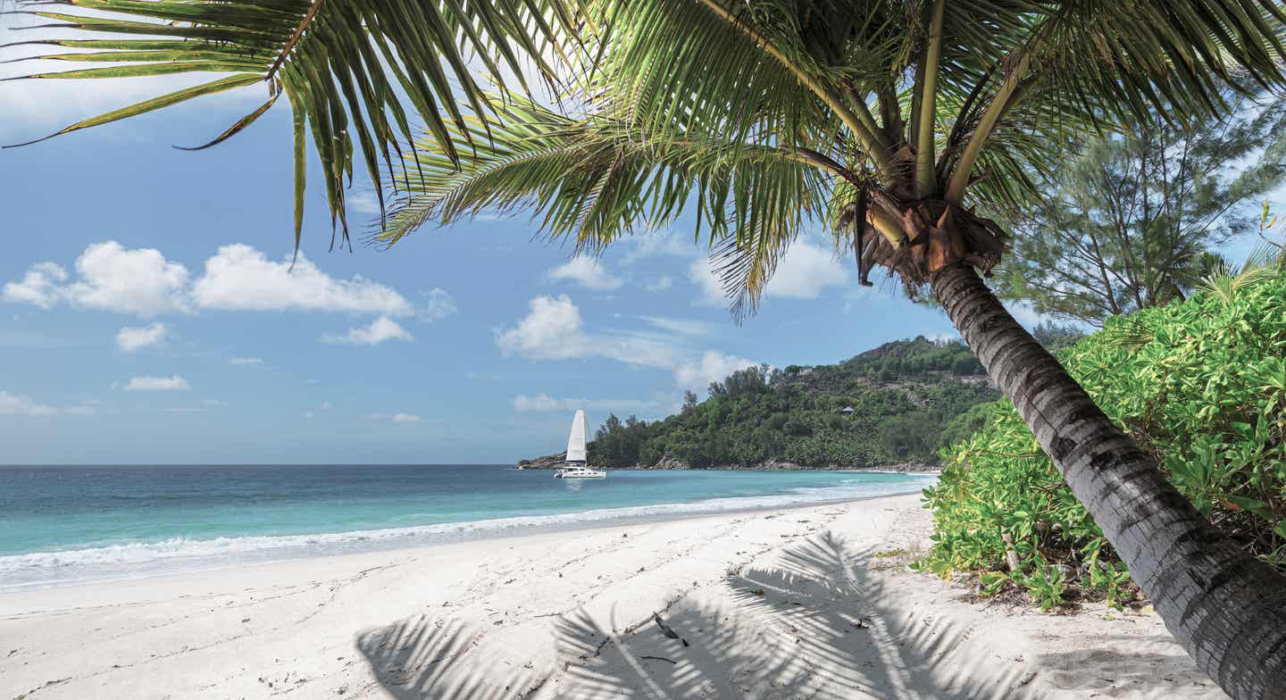 Beste Reisezeit Hawaii: Sandstrand mit Palmen und Segelboot im Hintergrund