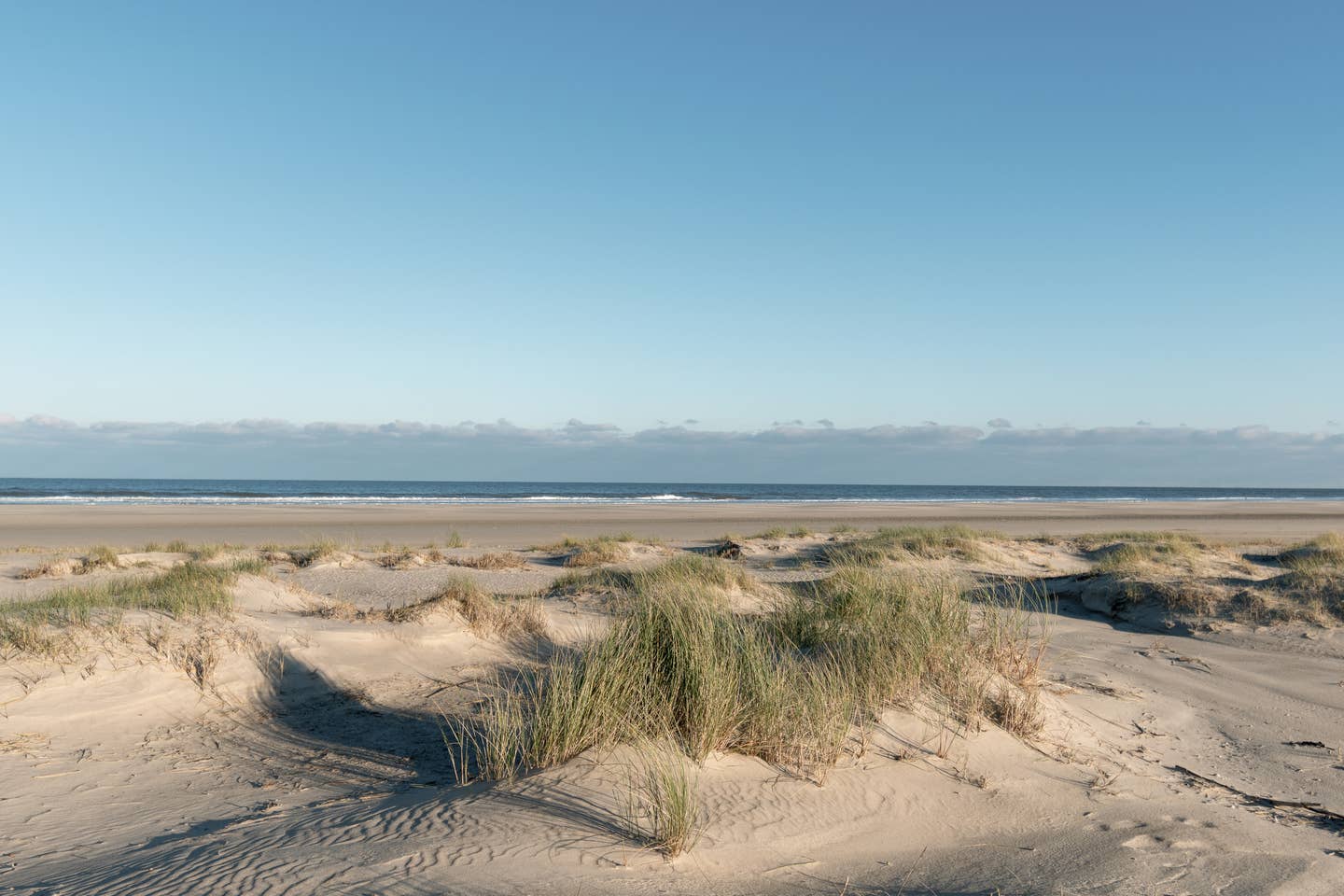 Norderney Urlaub mit DERTOUR. Blick über einen weiten Strand mit Strandgras auf die Nordsee