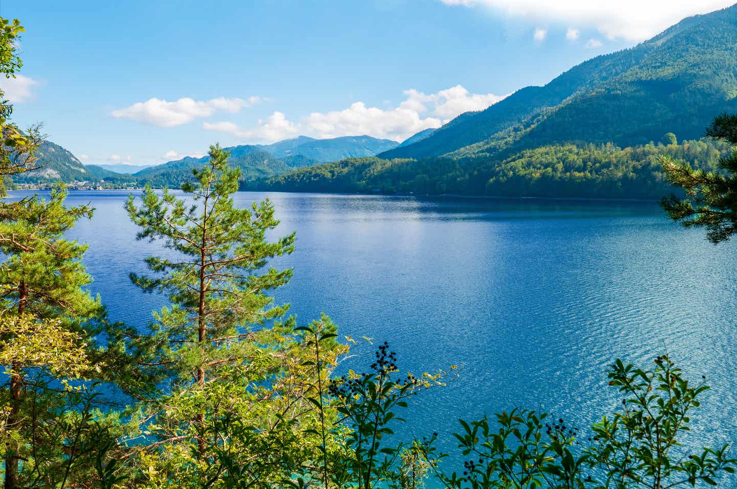 Seen Oberösterreich Fuschlsee Panorama Berge