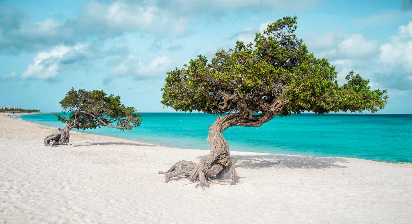 Eagle Beach auf Aruba