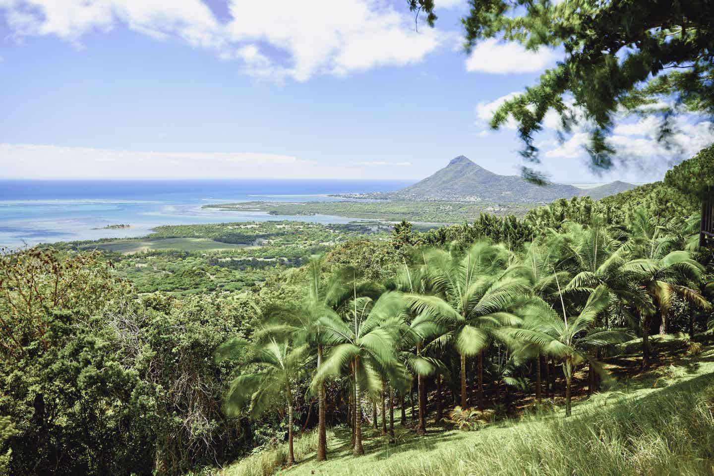 Blick auf Mauritius