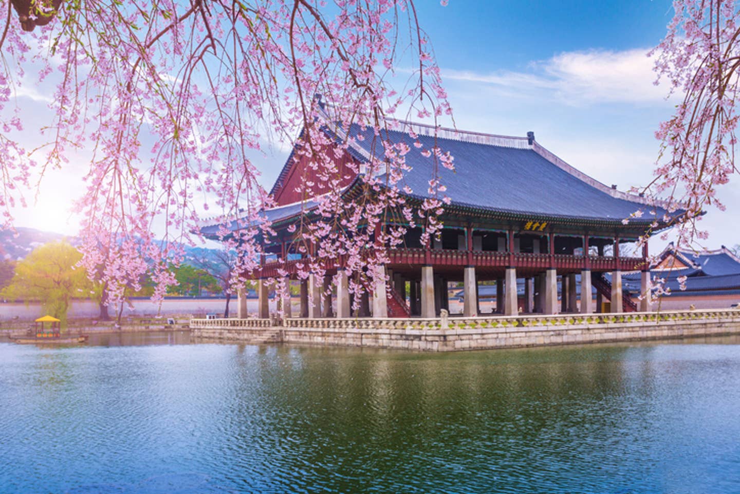 Rundreisen Südkorea: Kirschblüten vor der koreanischen Herrscherpalast Gyeongbokgung