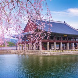 suedkorea-palast-gyeongbokgung-blueten-g-641042562.jpg