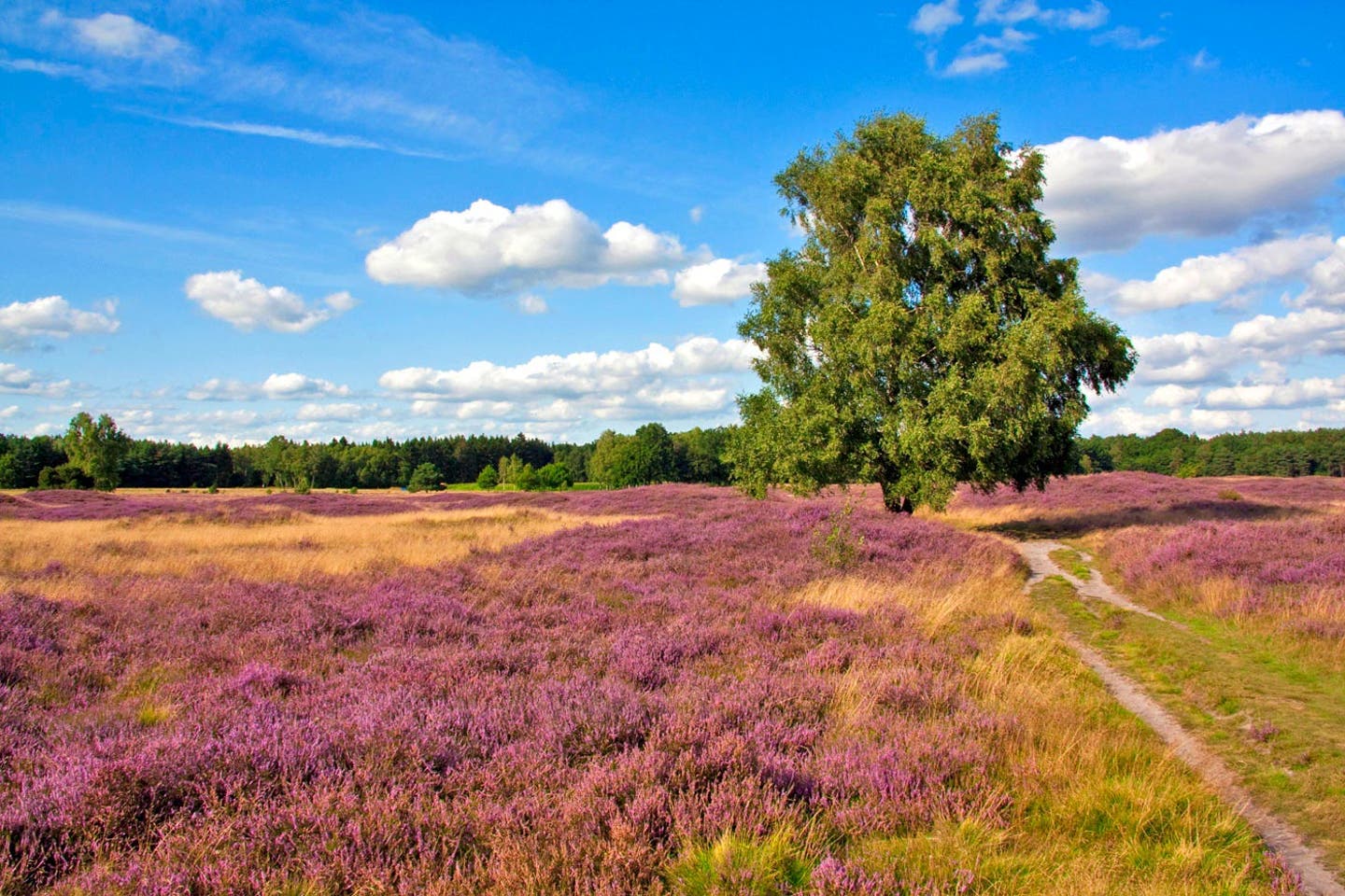 Hotels in der Lüneburger Heide