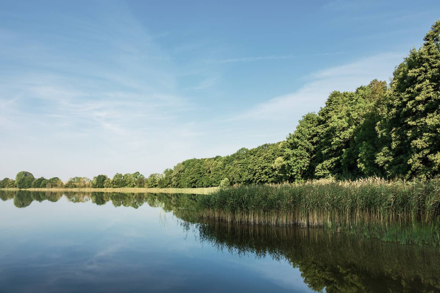 Brandenburg Urlaub mit DERTOUR. Landschaft an einem See in Potzlow, Brandenburg