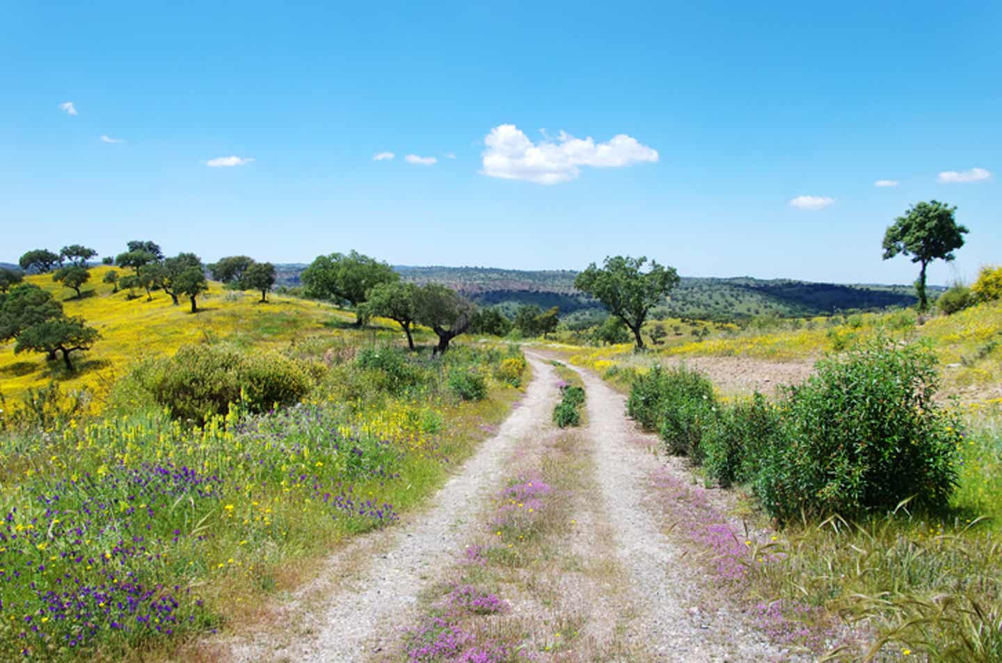 Hotels in Alentejo