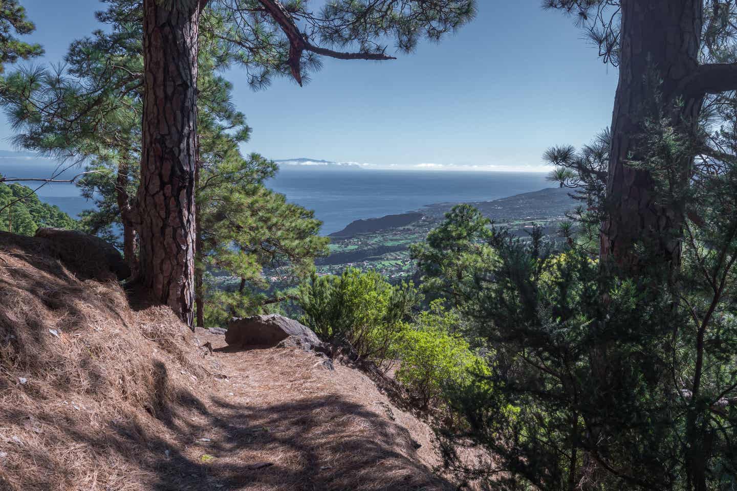 La Palma Urlaub: Wanderweg Barranco de la Madera