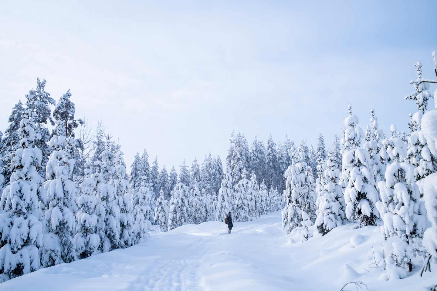Finnland: Urlaub im Winterwunderland