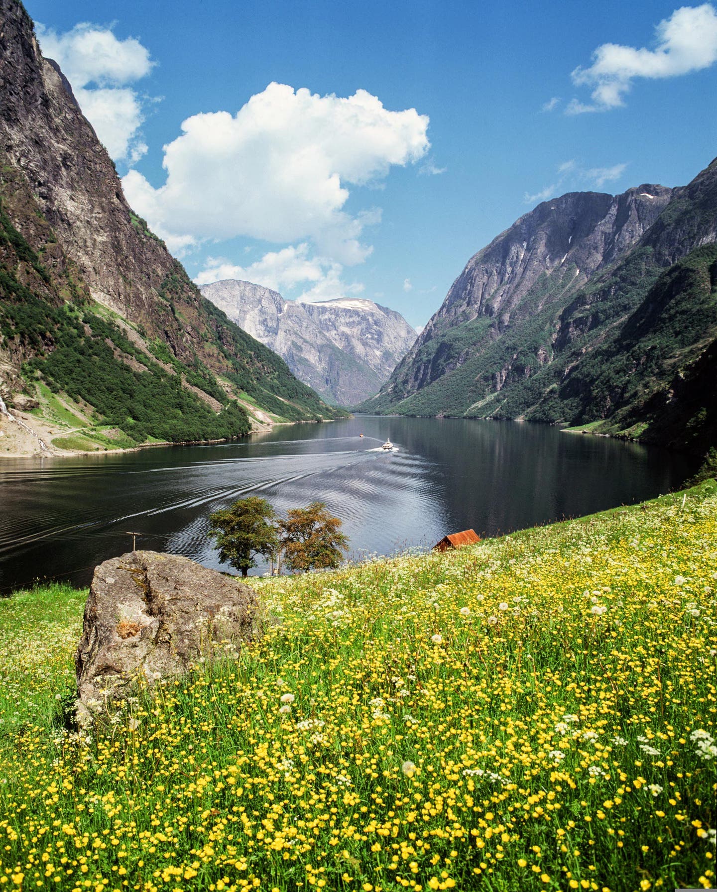 Norwegen – der Nærøyfjord