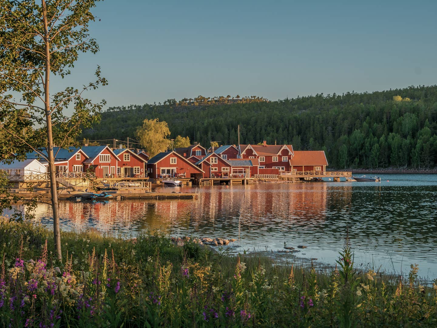 Schweden Urlaub mit DERTOUR. Rote Schwedenhäuser in einer Schärenlandschaft an Schwedens Küste