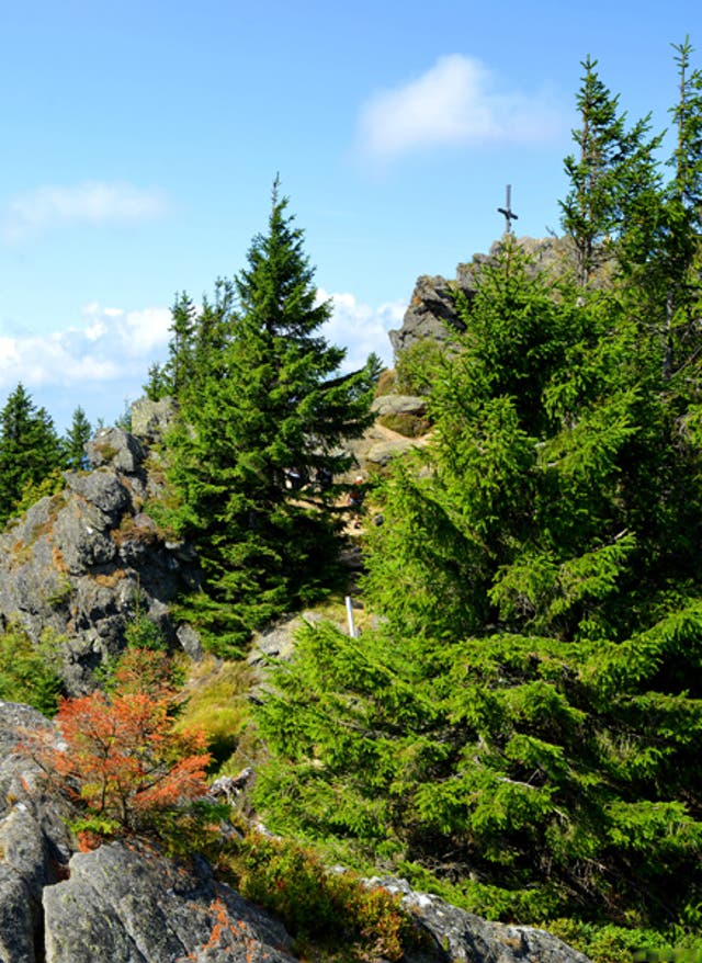 Hotels buchen Großer Osser im Bayerischen Wald
