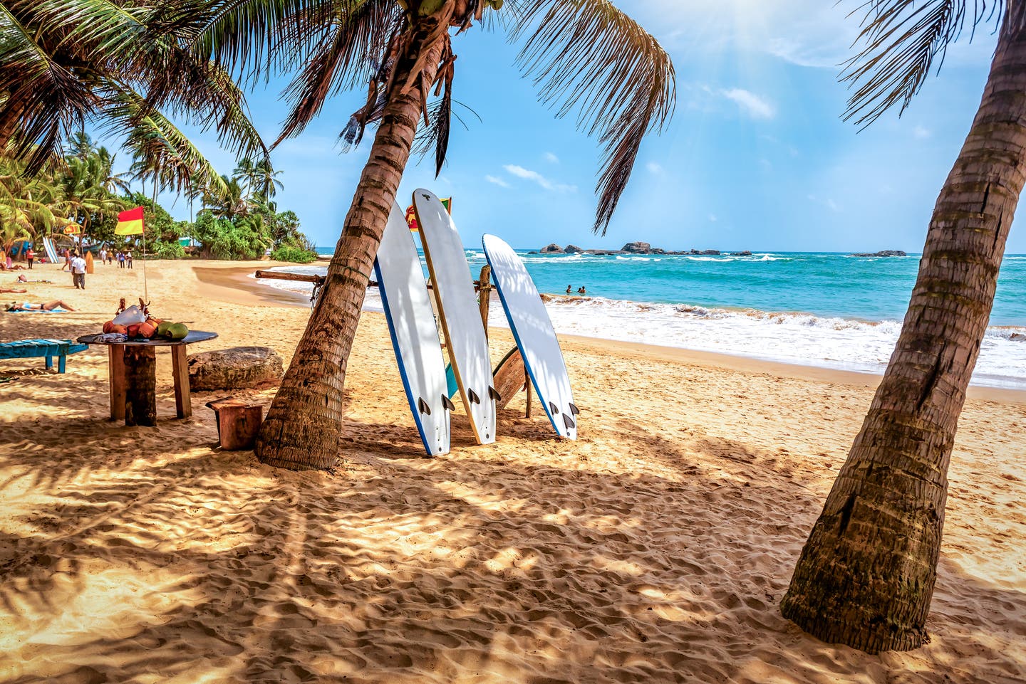 Surfbrett und Palme am Sandstrand in Sri Lanka – Ein beliebtes Motiv, das den weiten Blick auf das Meer einfängt