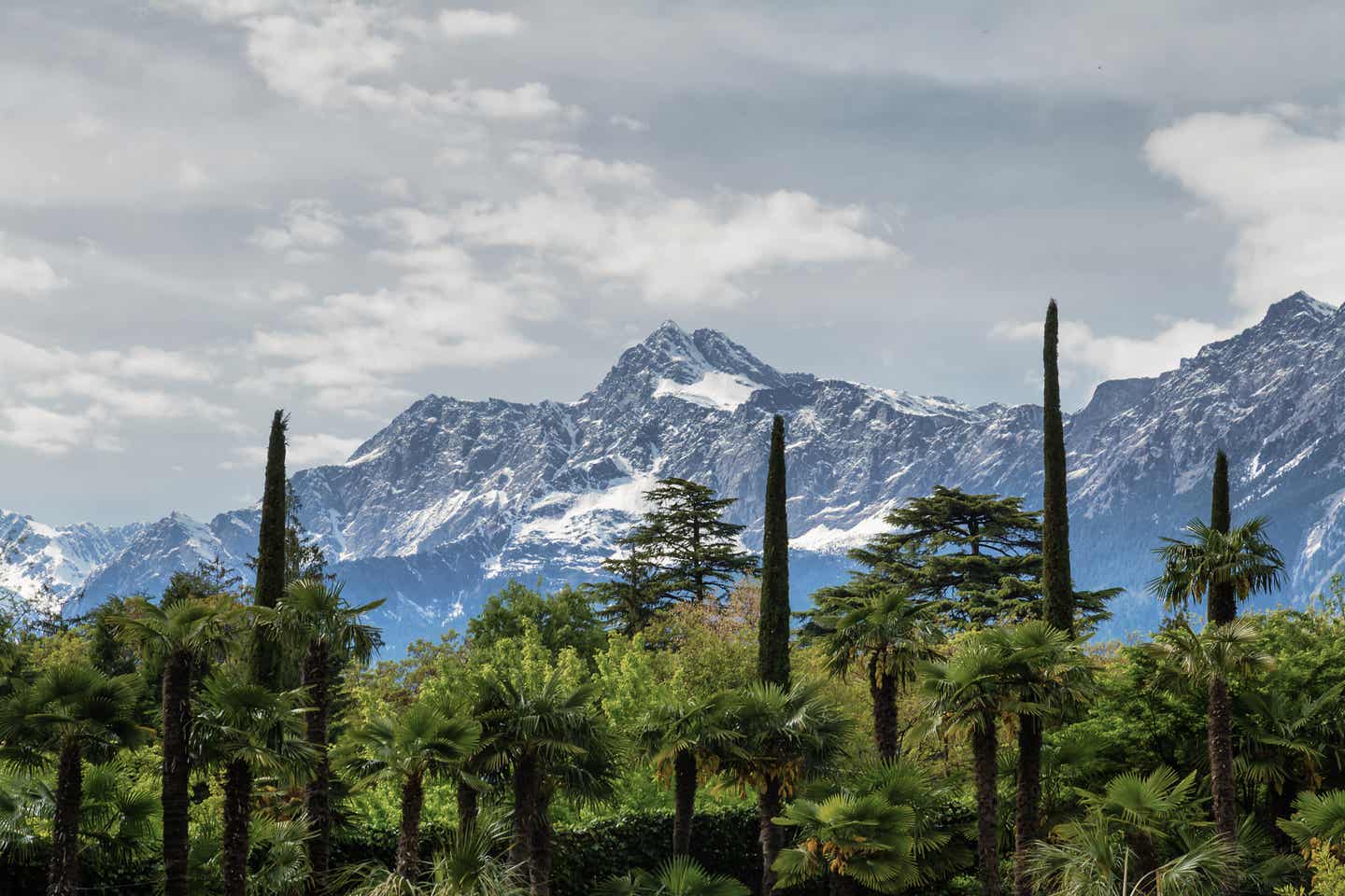 Meran Urlaub mit DERTOUR. Botanischer Garten in Meran mit schneebedeckten Alpen im Hintergrund