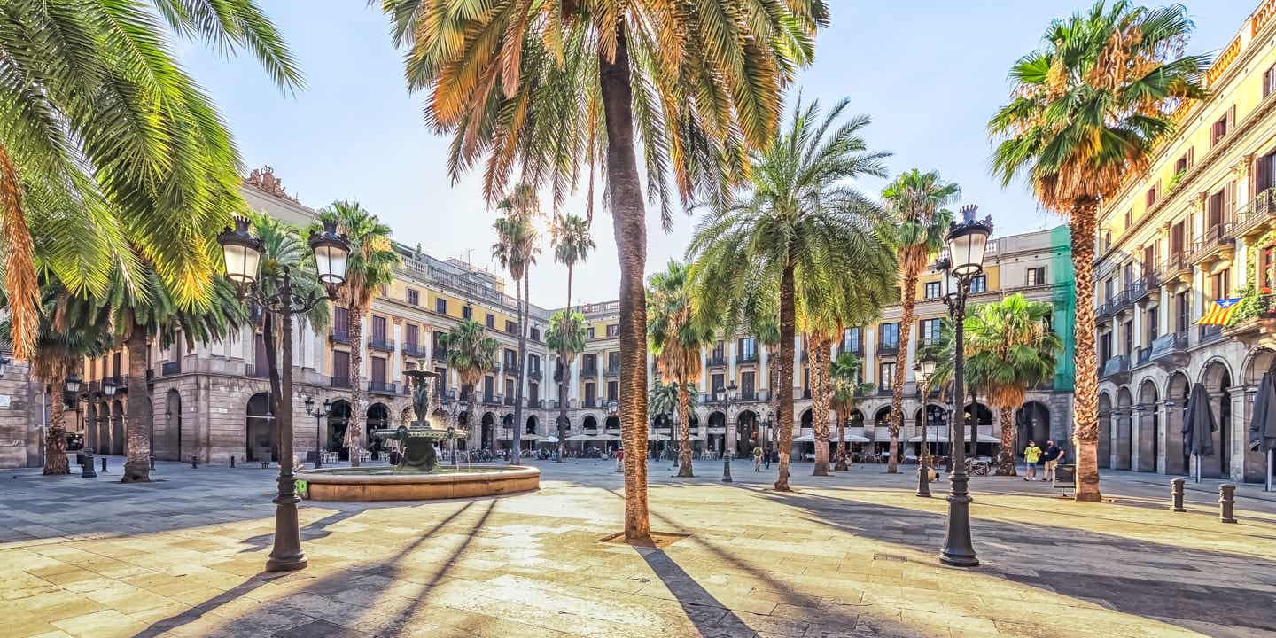 Palmen rund um einen Plaza bei einer Städtereise  in Barcelona entdecken