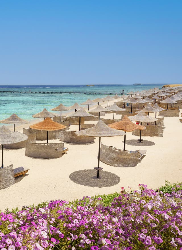 Ägypten Strand Ägypten Strand - Sonnenfans aufgepasst