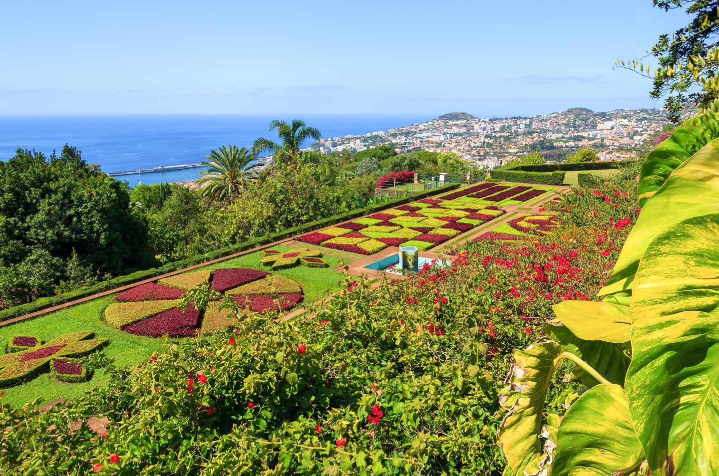 Madeira Sehenswürdigkeiten: Der tropische Garten von Funchal 