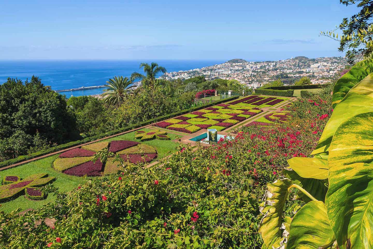 Meer und Blumen auf Madeira